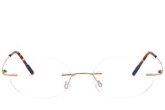 BS423-0657_Golden_Invisible_Titanium_Glasses_front