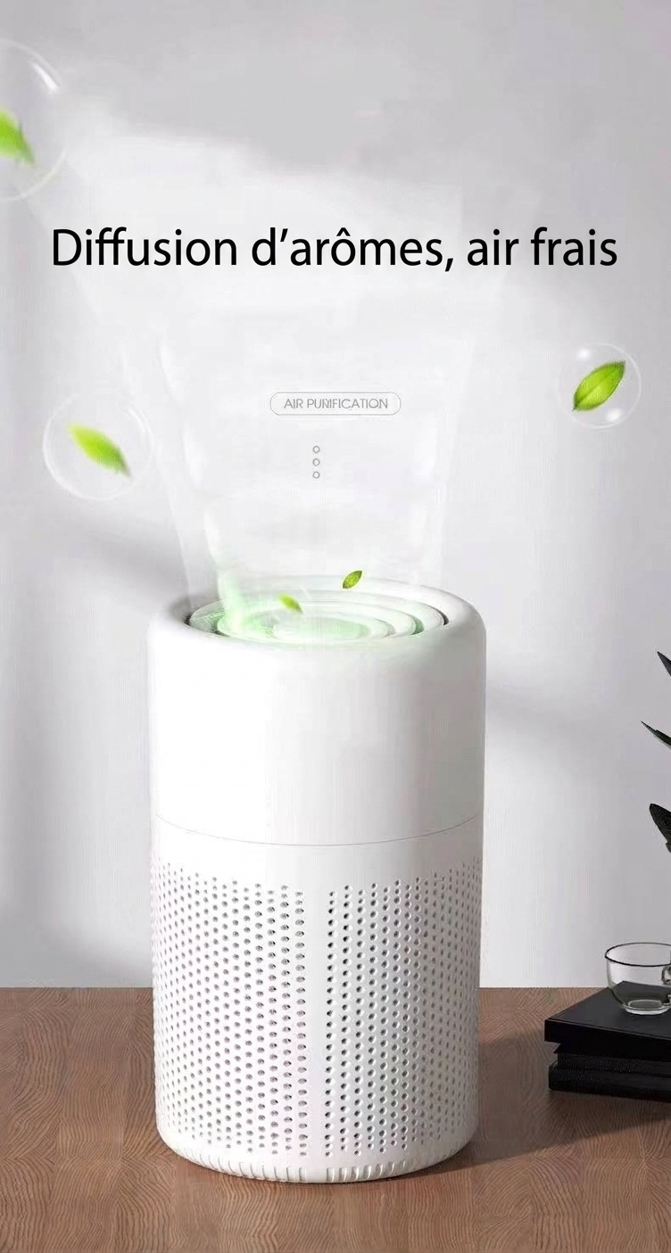 Purificateur d'air portable H13 HEPA avec filtre à charbon actif et diffuseur d'arômes, ultra-silencieux (37 dB), purificateur d'air multicouche alimenté par USB-C pour la maison et le bureau