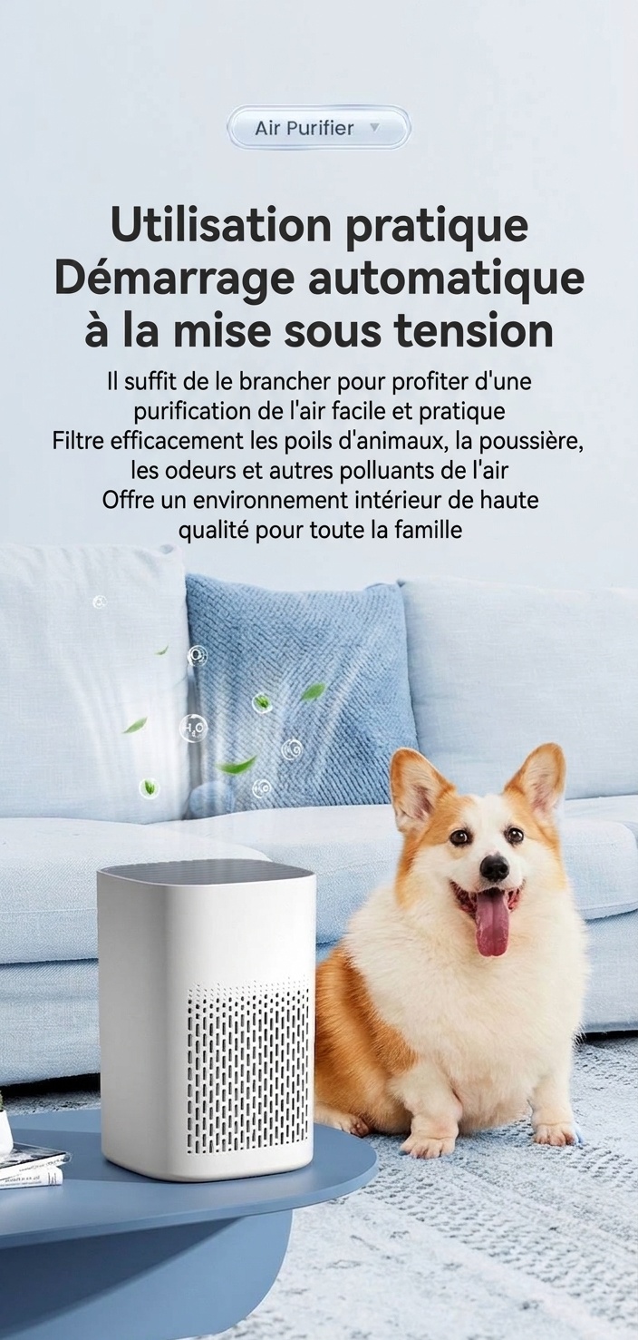 Purificateur d'air compact HEPA avec filtre à charbon actif, diffuseur d'aromathérapie, lumière bleue, diffusion d'air à 360°, purificateur d'air silencieux USB-C pour chambre et bureau