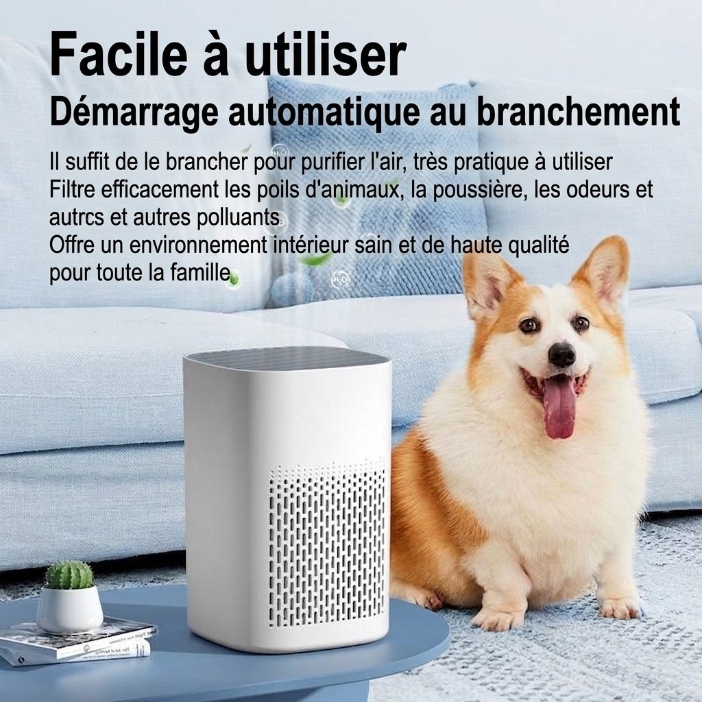 Purificateur d'air compact HEPA avec filtre à charbon actif, diffuseur d'aromathérapie, lumière bleue, diffusion d'air à 360°, purificateur d'air silencieux USB-C pour chambre et bureau