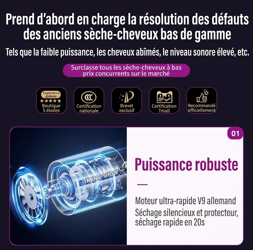 Sèche-cheveux ionique haute vitesse avec contrôle intelligent de la température