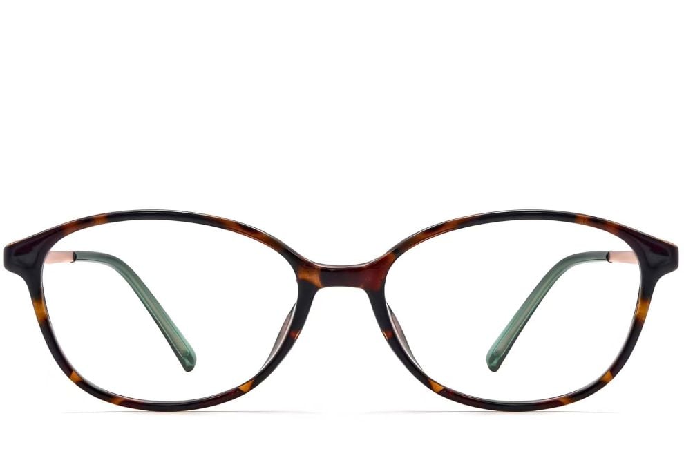 Gafas ovaladas TR90 de carey # BS0423-0246