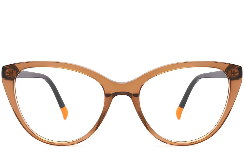 Butterfly Brown Acetate Glasses #BS2012-0127