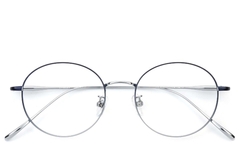 Ovale zilveren titanium bril #BS0406-0358