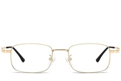 Rectangular Golden Titanium Glasses #BS1913-0212