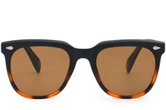 Gafas de sol rectangulares de plástico carey # BS2503-0109