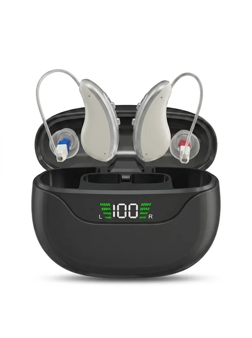 GM-323 P3 16-Channel UV Sterilizing Rechargeable Hearing Aids #26240003