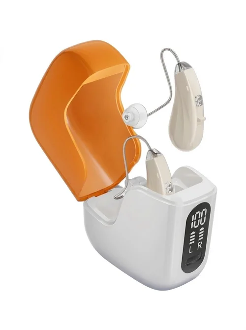 GM-313(P2) RIC BTE Hearing Aid 16-Channel with Open Ear Design #26240024