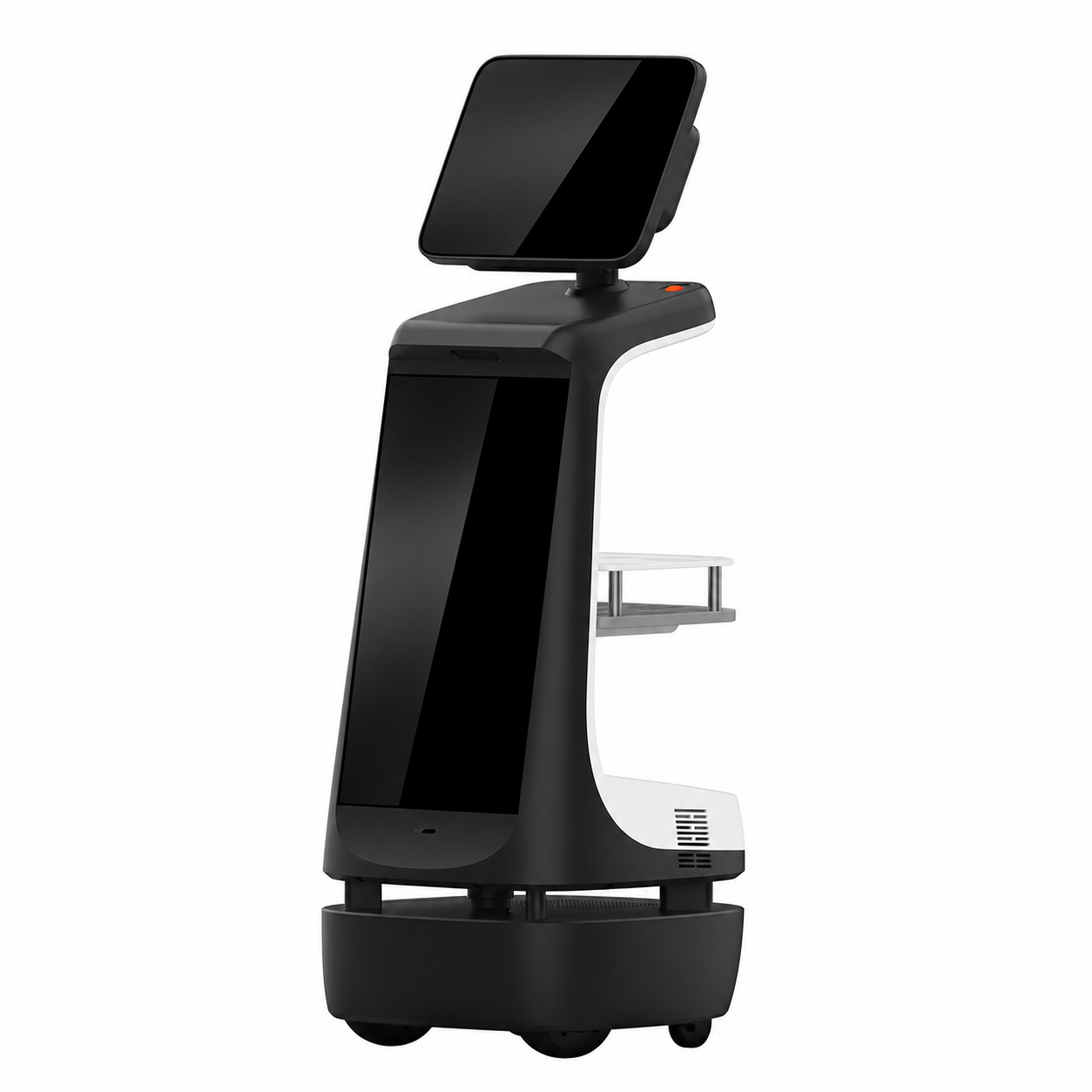 Robin AI Family Health Management Robot #41200002