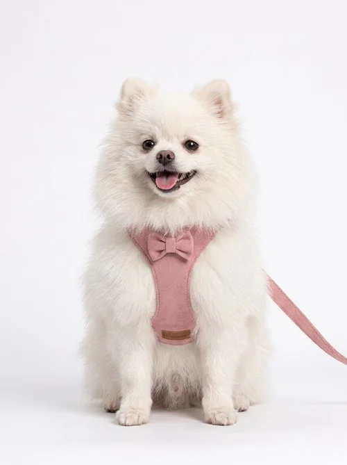 Soft Suede Pet Harness & Leash Set with Bow for Small Dogs