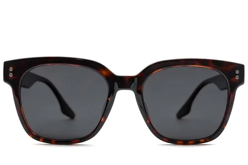 Lunettes de soleil rectangulaires en écaille de tortue TR90 #BS0824-0080