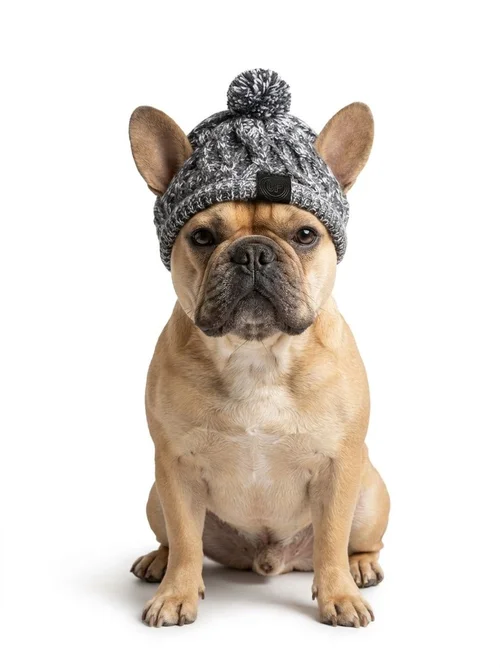Winter Knit Dog Beanie Hat with Pom Pom and Tassels