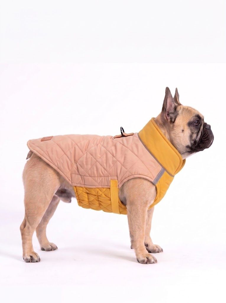 Warm Quilted Dog Coat with Reflective Trim & Adjustable Fit