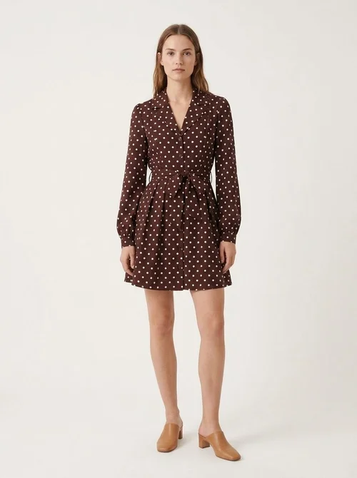 Brown Polka Dot Long Sleeve Belted Shirt Dress