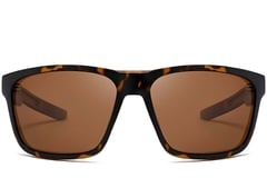 Rectangular Tortoiseshell Plastic Sunglasses #BS0205-0031