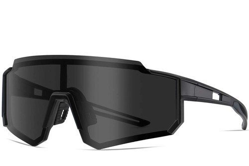 Aviator Black Plastic Sunglasses #BS0205-0047