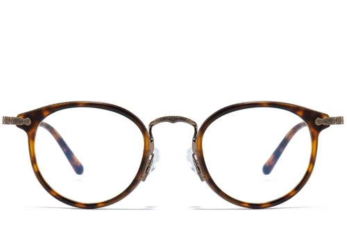 Oval Brown Titanium & Acetate Glasses #BS0218-0012