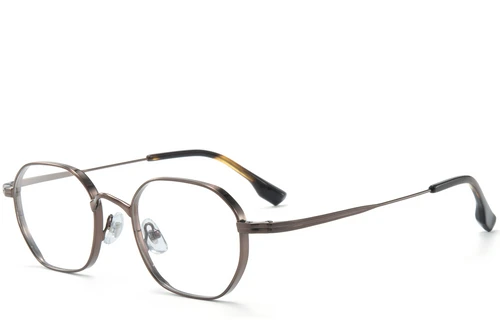 Rectangular Brown Titanium Glasses #BS0218-0127