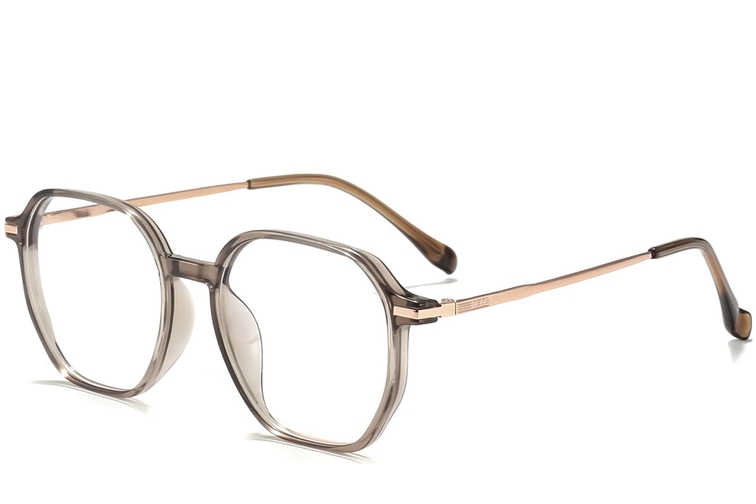 Geometric Brown Titanium Glasses #BS0218-0324