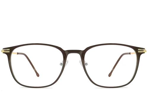 Lunettes rectangulaires marron TR90 #BS0406-0143