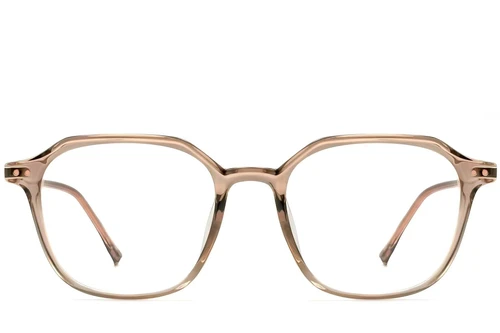 Lunettes géométriques marron TR90 #BS0423-0133