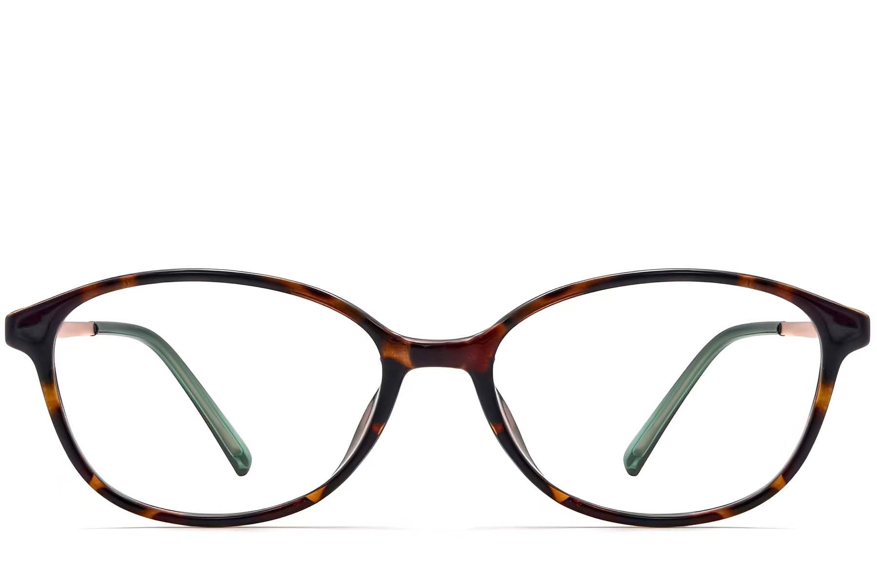 Oval Tortoiseshell TR90 Glasses #BS0423-0246