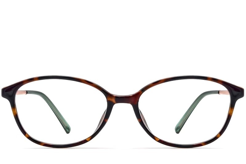 Oval Tortoiseshell TR90 Glasses #BS0423-0246