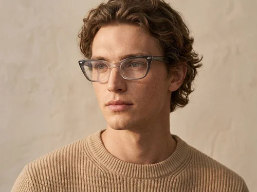 Lunettes en acétate gris papillon #BS0522-0178