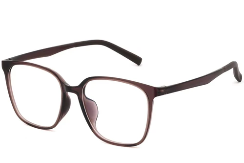 Lunettes rectangulaires marron TR90 #BS0620-0042