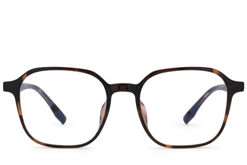 Lunettes rectangulaires écaille de tortue TR90 #BS0620-0119