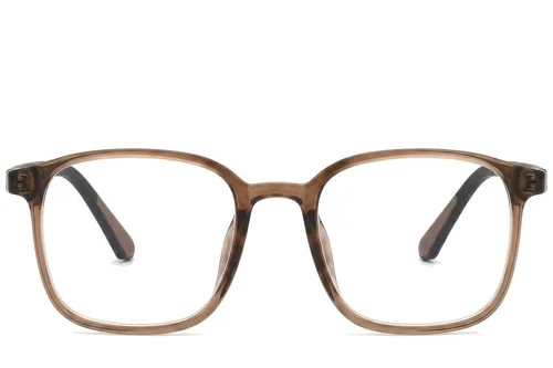 Lunettes rectangulaires marron TR90 #BS0620-0282