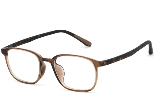 Lunettes rectangulaires marron TR90 #BS0620-0282
