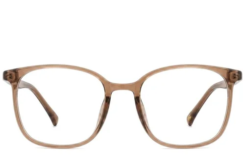 Lunettes rectangulaires marron TR90 #BS0620-0325