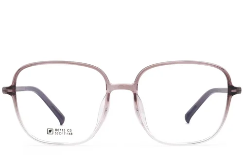Lunettes rectangulaires marron TR90 #BS0620-0379