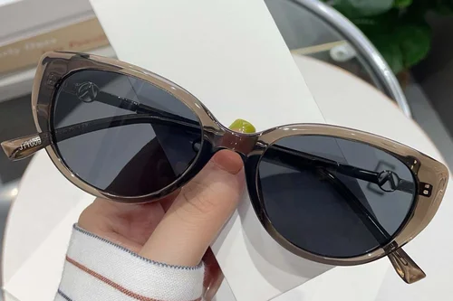 Lunettes de soleil papillon marron TR90 #BS0824-0049