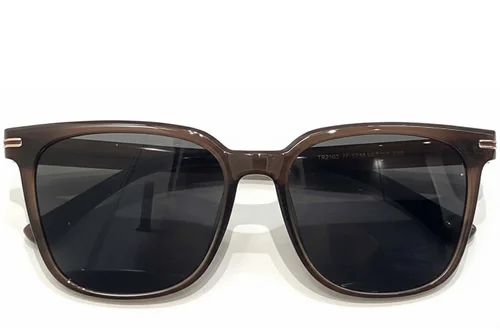 Lunettes de soleil rectangulaires marron TR90 #BS0824-0104