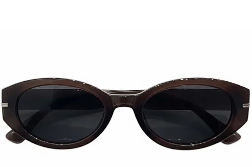 Lunettes de soleil ovales marron TR90 #BS0824-0109