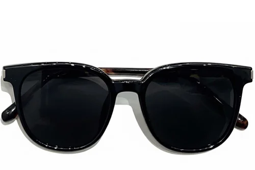 Lunettes de soleil rectangulaires noires TR90 #BS0824-0244