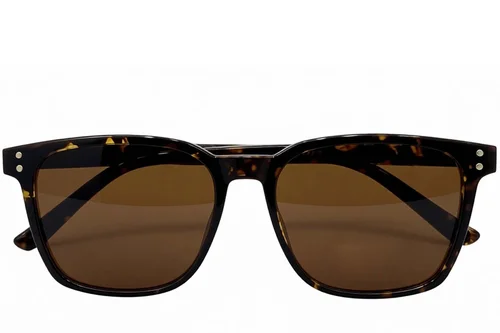 Lunettes de soleil rectangulaires écaille de tortue TR90 #BS0824-0318