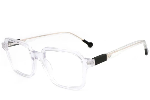 Rectangular Transparent Acetate Glasses #BS1902-0149