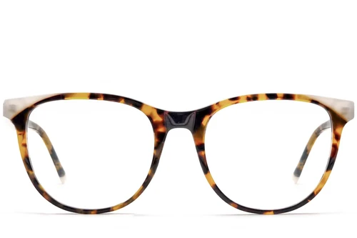 Butterfly Tortoiseshell Acetate Glasses #BS1902-0172