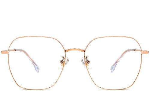 Lunettes géométriques roses en titane #BS1913-0004