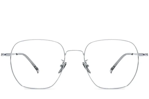 Lunettes géométriques en titane argenté #BS1913-0021