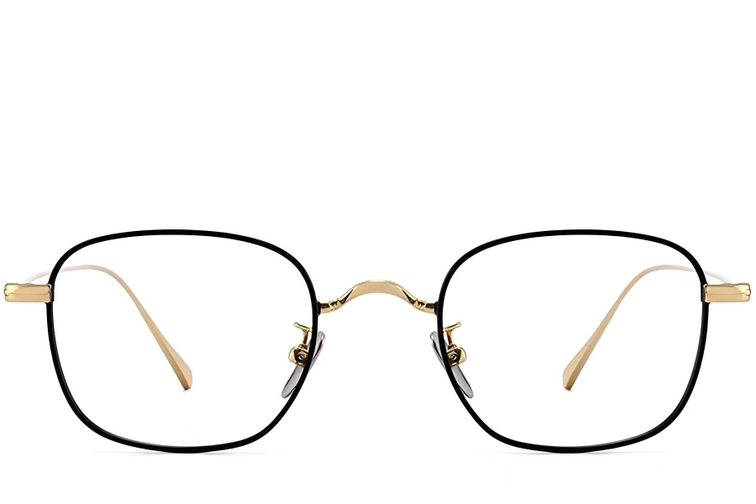 Rectangular Black Titanium Glasses #BS1913-0048