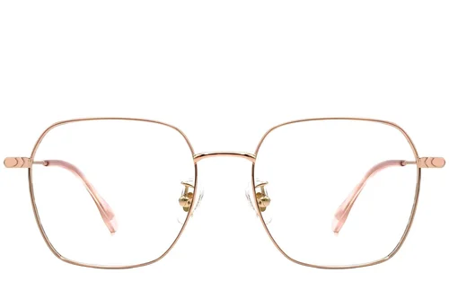 Lunettes géométriques roses en titane #BS1913-0083