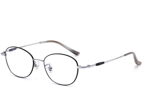Oval Black Titanium Glasses #BS1913-0101