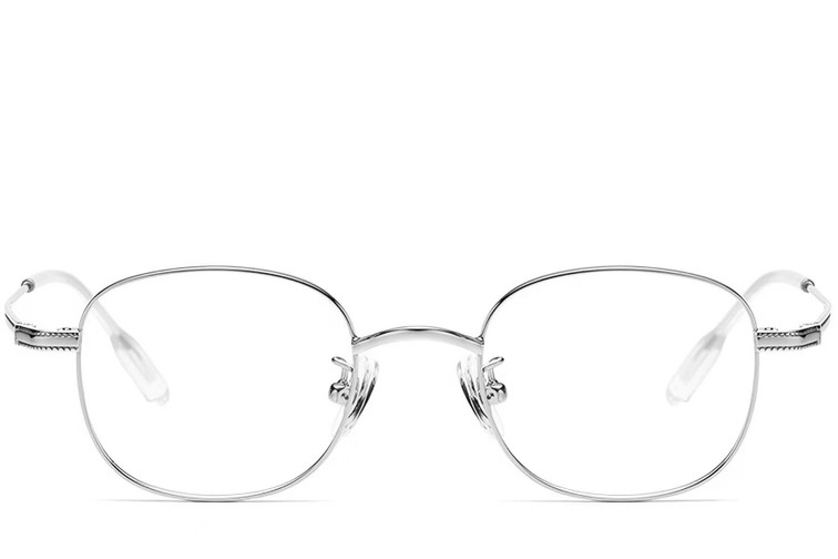 Ovale zilveren titanium bril #BS1913-0220
