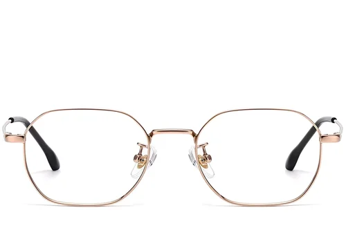 Lunettes géométriques roses en titane #BS1913-0224