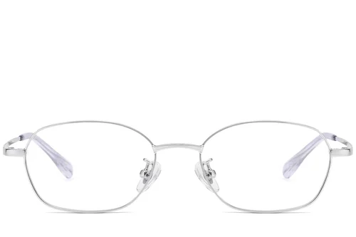 Lunettes géométriques en titane argenté #BS1913-0255