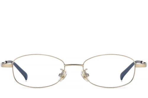 Rectangular Golden Titanium Glasses #BS1913-0339